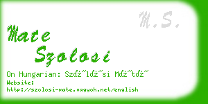 mate szolosi business card